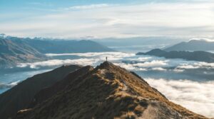 Optimising your NZ business for 2025? There could be some challenges. In a shifting landscape, weather events, and plan for the future.